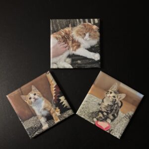 3 Personalised Photo Magnets